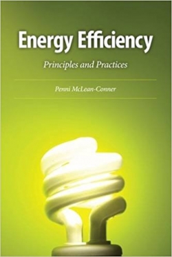 Energy Efficiency: Principles and Practices