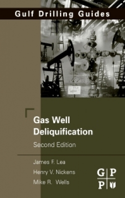 Gas Well Deliquification Second Edition